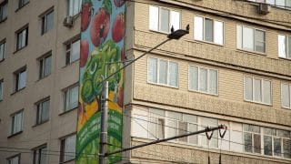 Жарық, құстар, ауа райы
