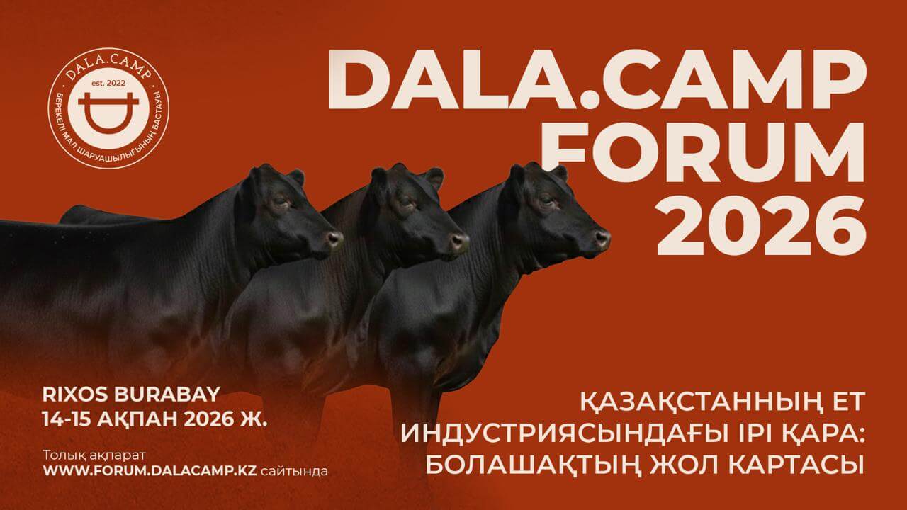 Сиыр етін экспорттау: Қазақстанның 10 жылдық стратегиясы талқыланады