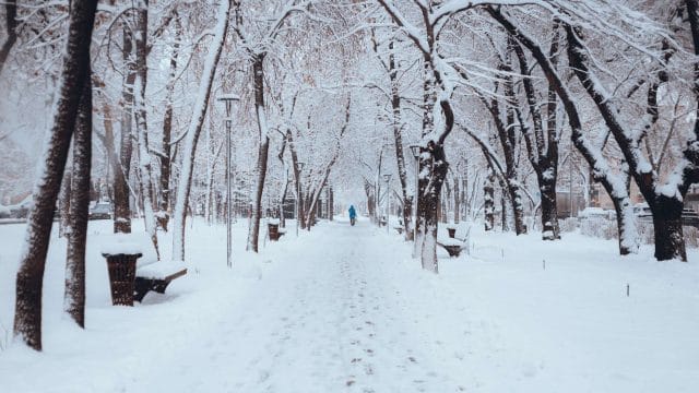 27 ақпанда ел өңірлерінде дауылды ескерту жарияланды