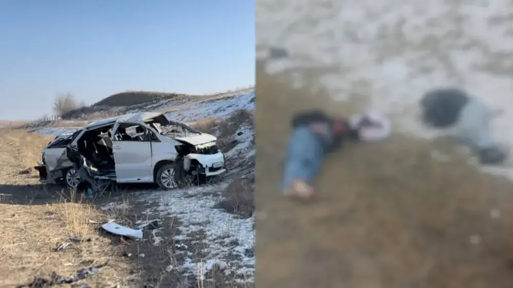 Алматы облысындағы жол апаты: үндістандық студенттер қаза болды