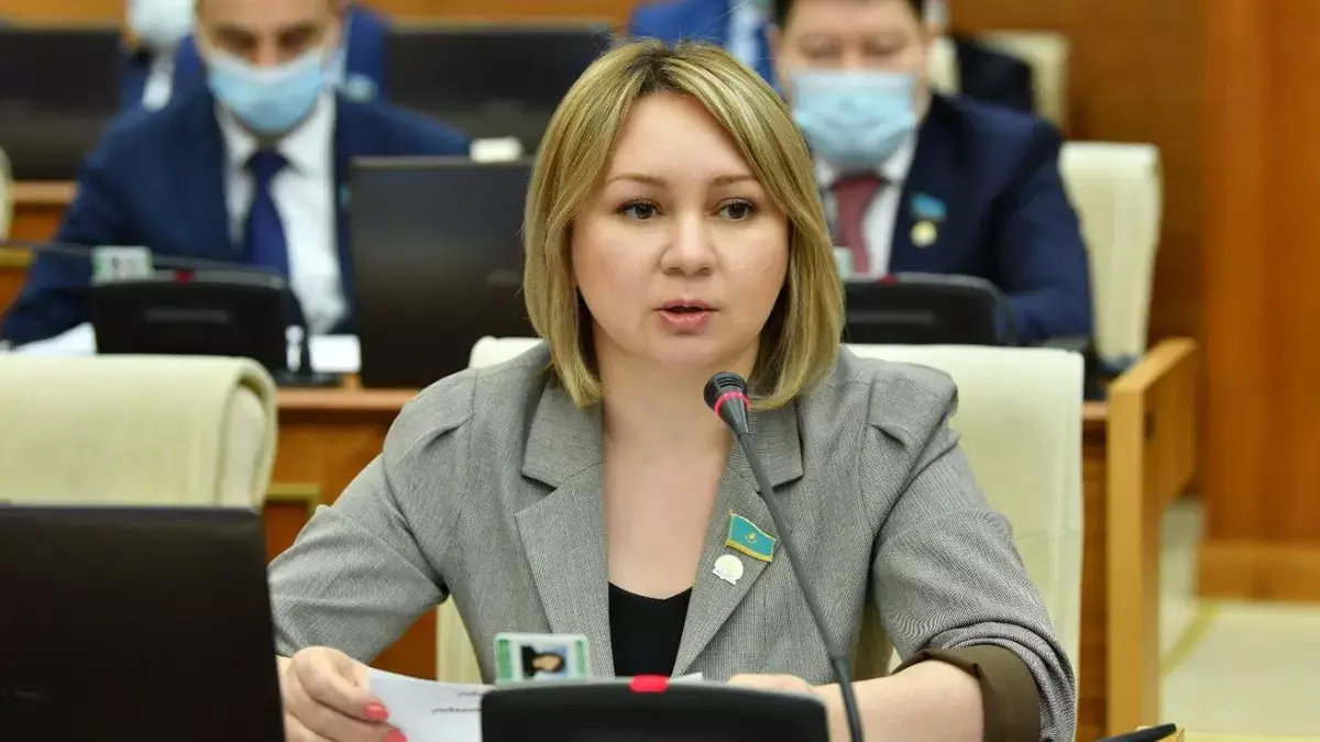 Конституциялық комиссияда жаңа Конституцияның күшіне ену тәртібі талқыланды