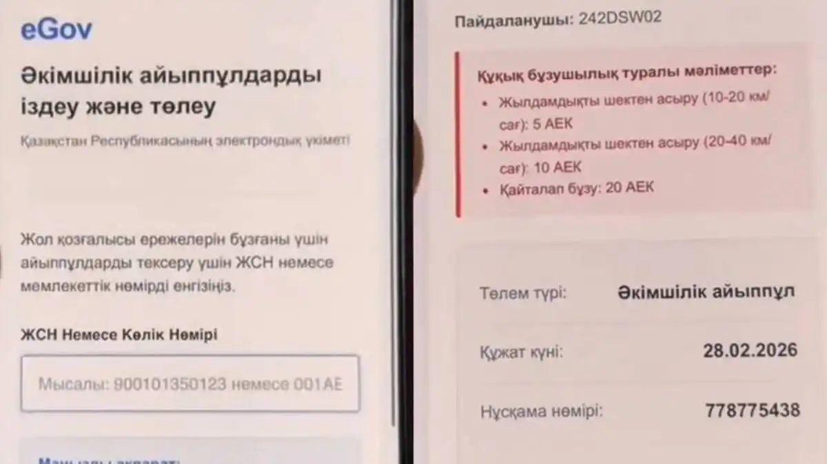 Жалған айыппұл: елде жаңа интернет-алаяқтар пайда болды