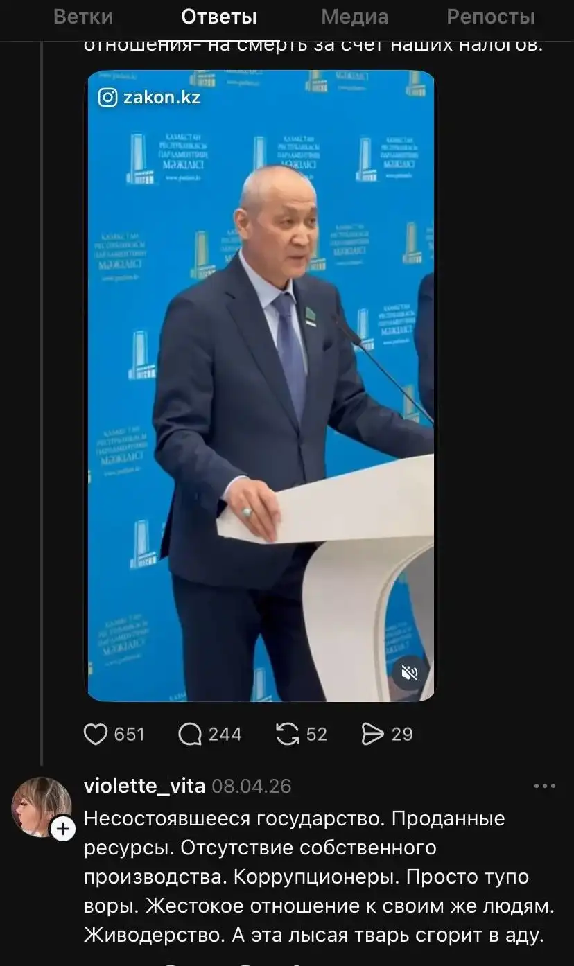Қазаққа тіл тигізген желі қолданушысына қатысты қылмыстық іс қозғалды