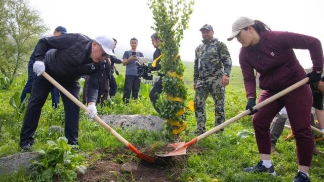 Алматы облысында «Тазалық күндері»: 39 мың адам қатысып, 760 тонна қоқыс жиналды