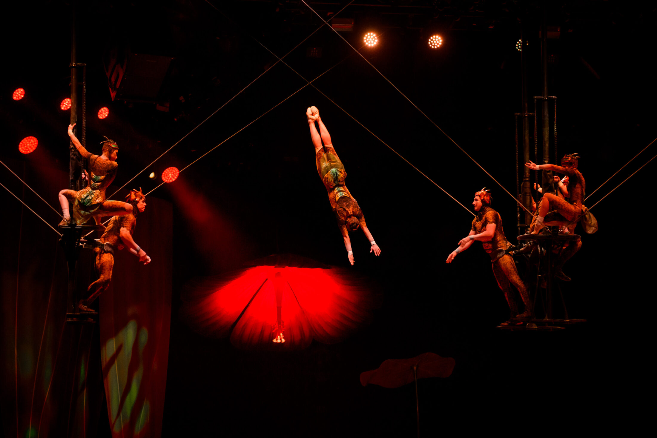 Әлемдік шоу Алматыда: Cirque du Soleil OVO премьерасын ұсынды