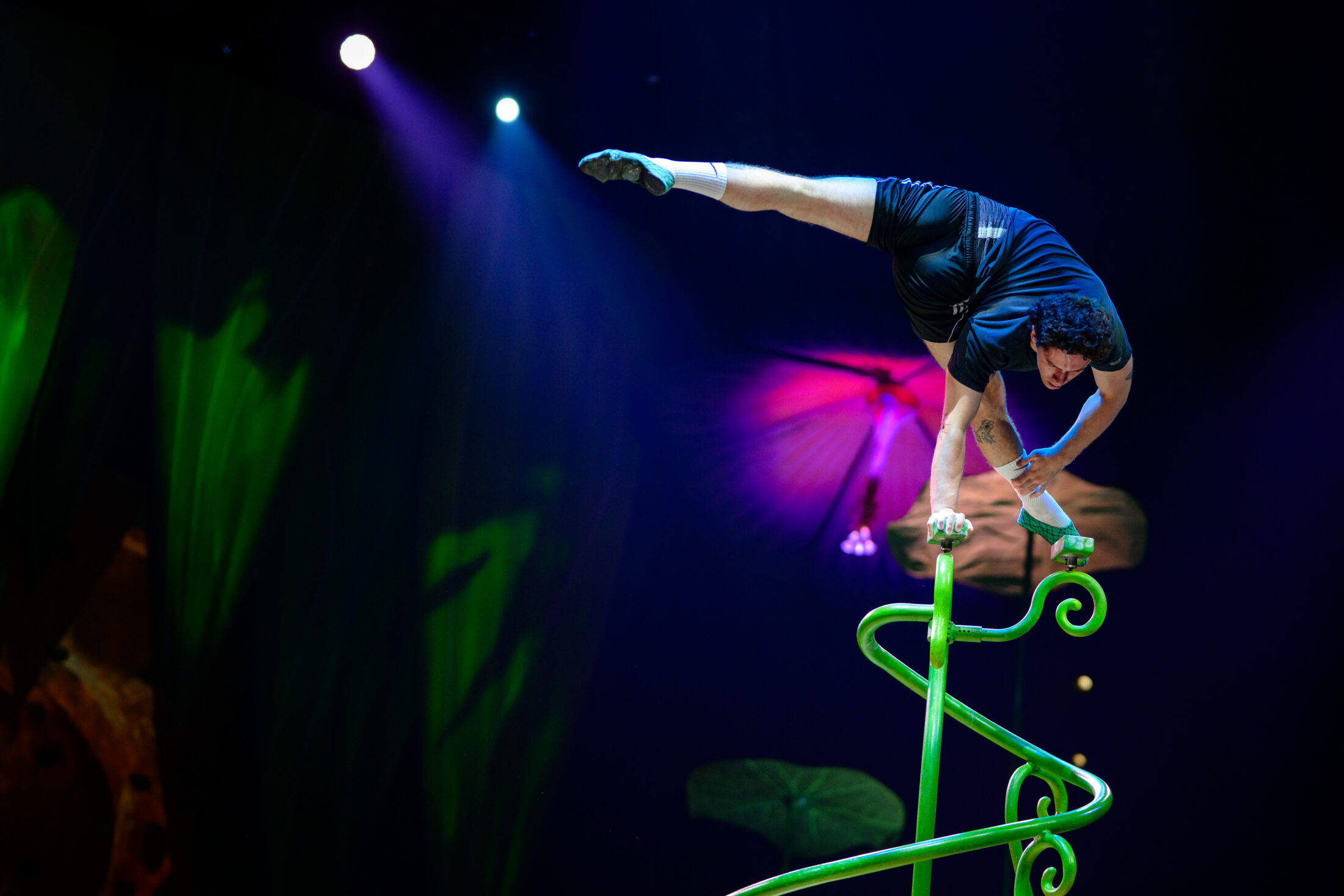 Әлемдік шоу Алматыда: Cirque du Soleil OVO премьерасын ұсынды